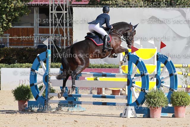 CISI_RIBES_GIO CAV 2011_SS3_0778.jpg